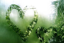 太阳力求破灰熊：决胜之战打响