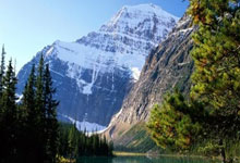 太阳力求破灰熊：决胜之战打响